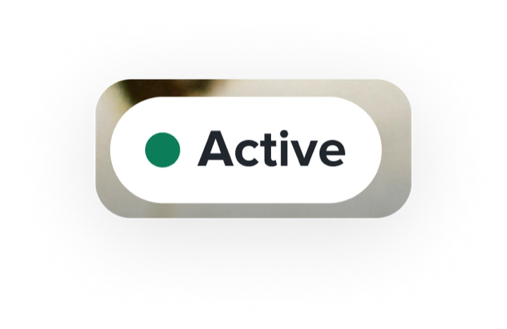 An 'Active' content tag callout that covers the system labels zone above the namerow.