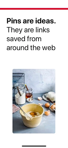 Pinterest onboarding explaining what pins are while results load